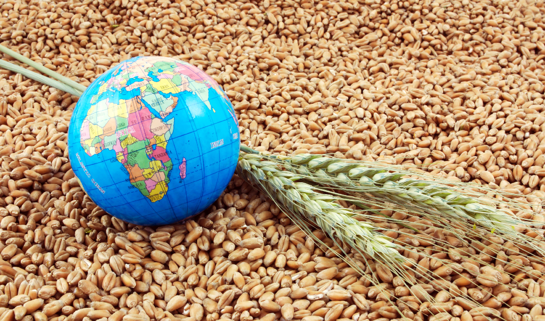 African Development Bank has approved $1.5 billion to cover looming food crisis in Africa