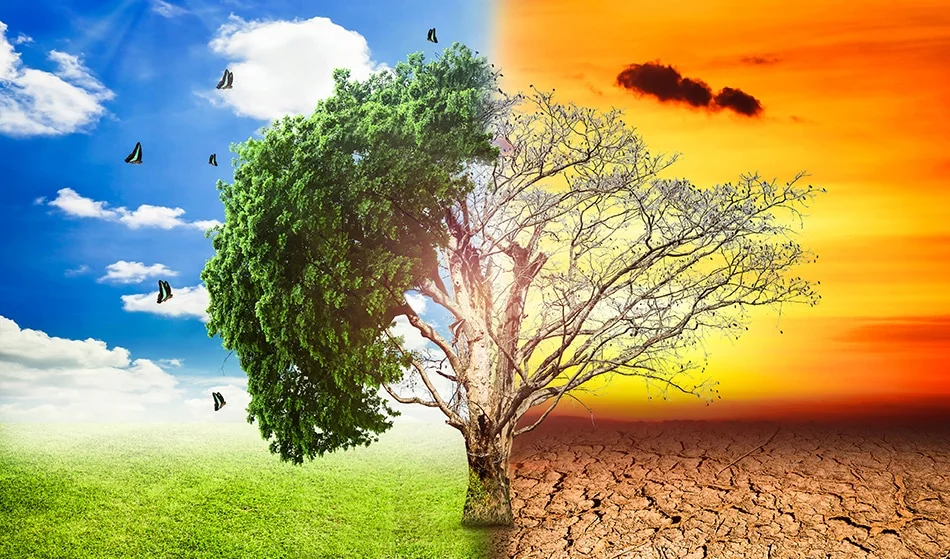 Mother Nature: Part of our History with Climate Change