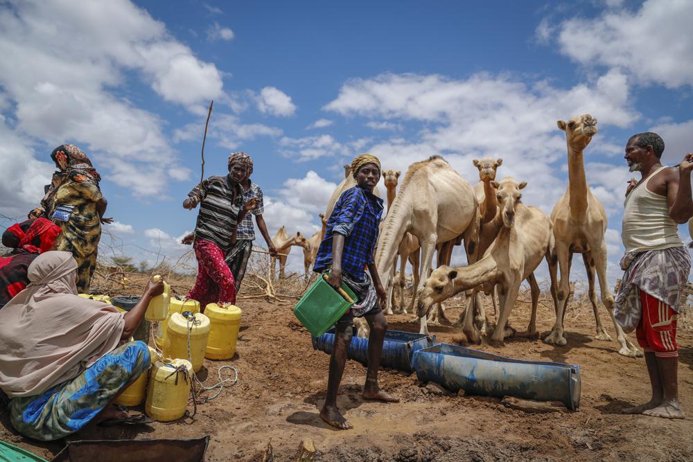 Kenya Red Cross warns 10 counties facing severe drought