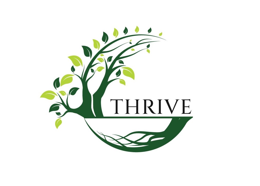Thrive: 3 Nuggets to Live in Harmony