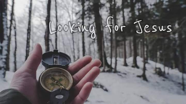 Questions that Jesus asked: Why do you Search for Me?