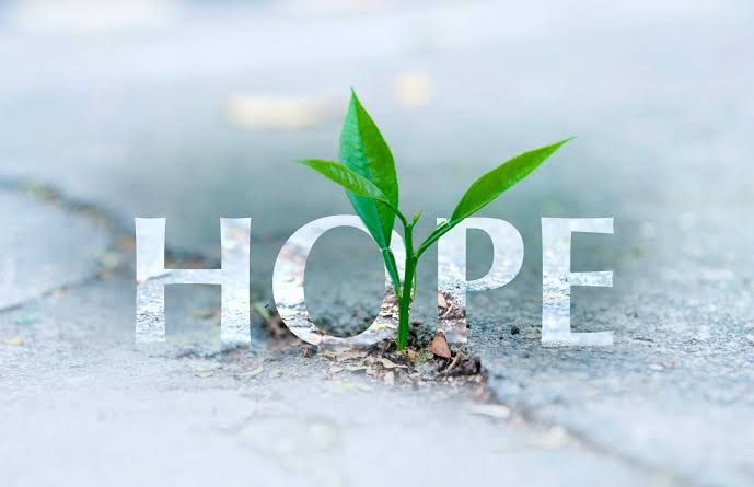 Purpose in Suffering: Character Produces Hope
